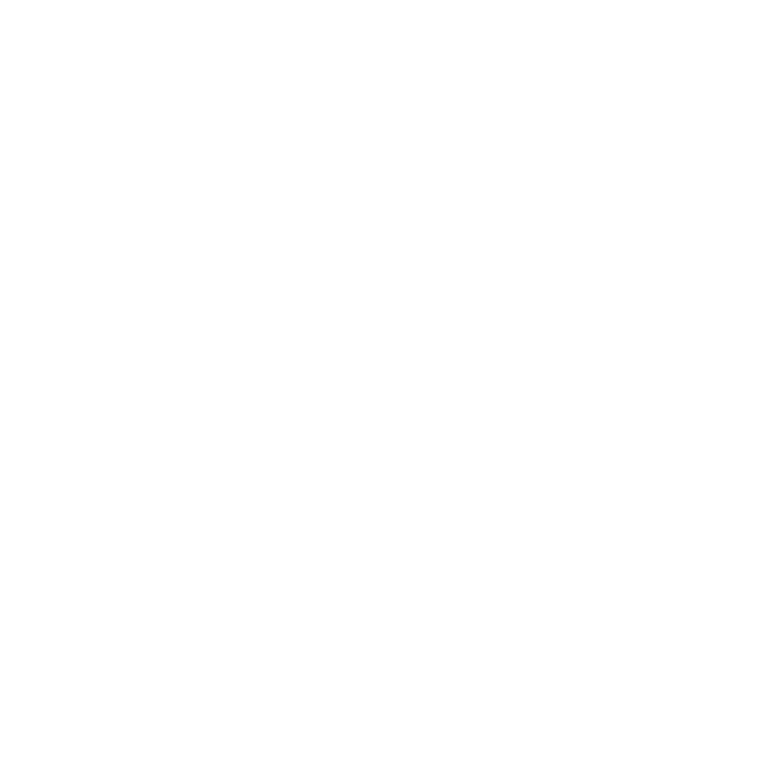 Raw Bistro New Logo White
